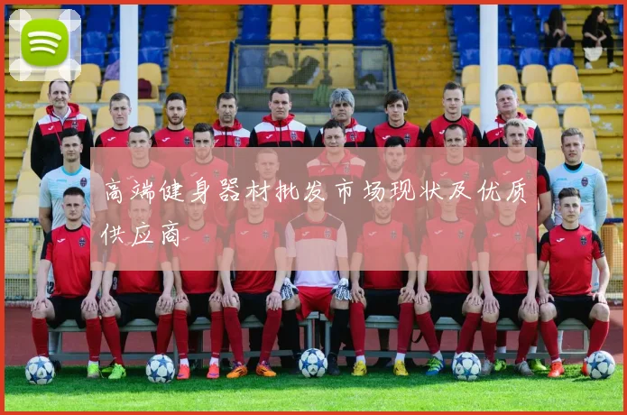 高端健身器材批发市场现状及优质供应商